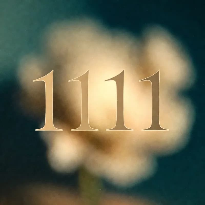 Angel number 1111 - Make a wish