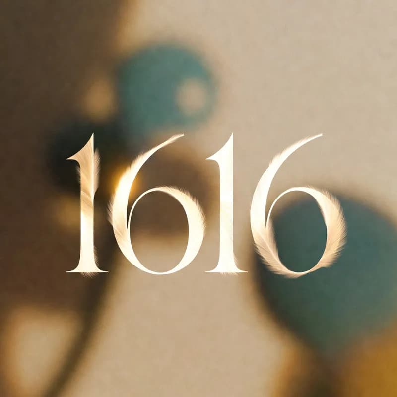 Angel number 1616 - القلب والبيت