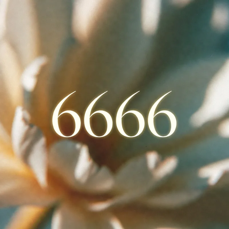 Angel number 6666 - إعادة توازنٍ عميقة